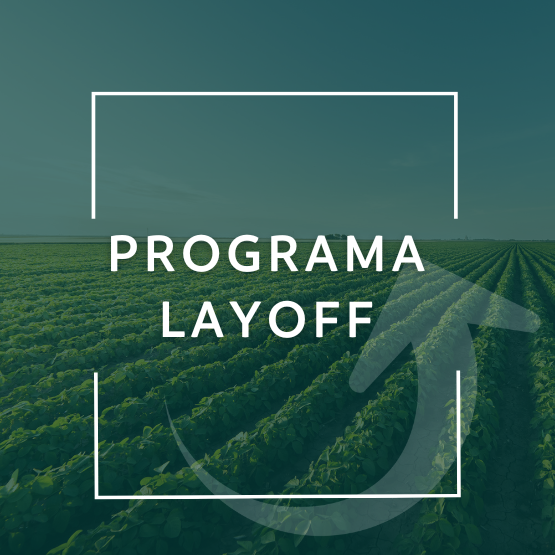Programa Lay-off