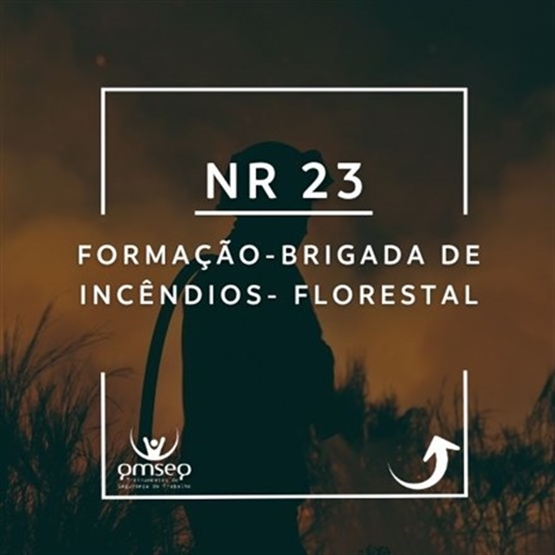 FORMAÇÃO NR 23 BRIGADA DE INCÊNDIOS- FLORESTAL